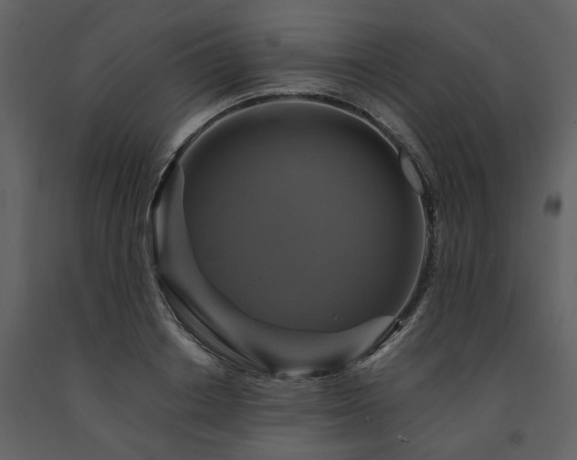 X0000091710842200708241245