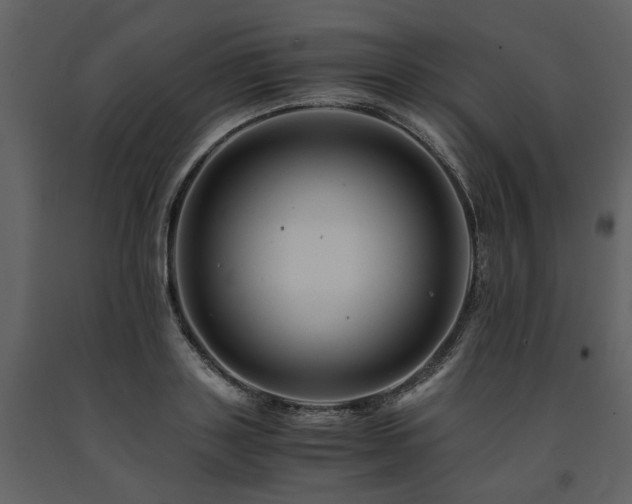 X0000091710843200708241245