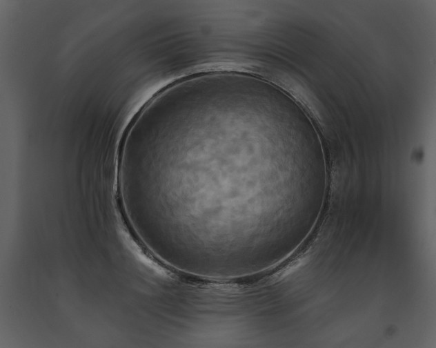 X0000091710844200708241245