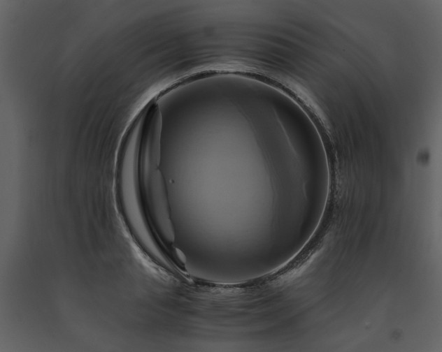 X0000091710845200708241245