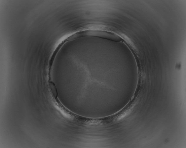 X0000091710846200708241245