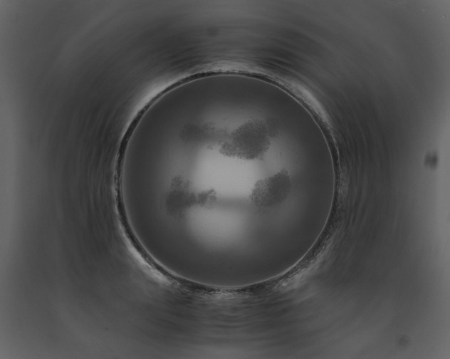 X0000091710847200708241245