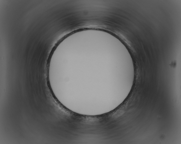 X0000091710848200708241245