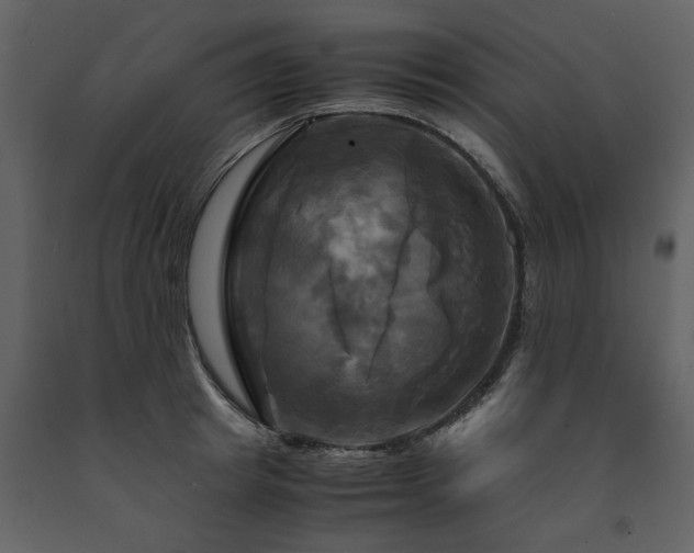 X0000091710849200708241245