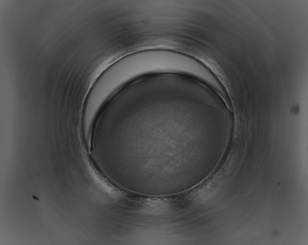 X0000091710850200708241245