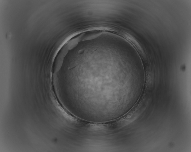 X0000091710852200708241245