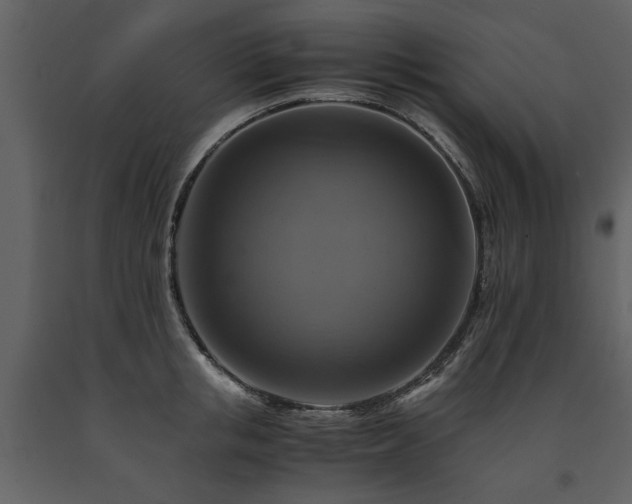 X0000091710853200708241245