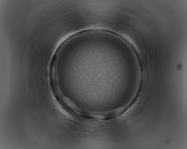 X0000091710854200708241245