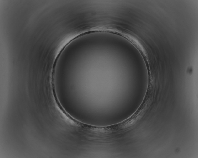 X0000091710855200708241245
