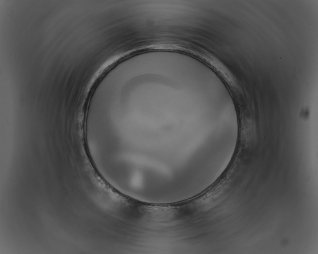 X0000091710856200708241245