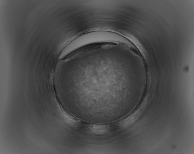 X0000091710857200708241245