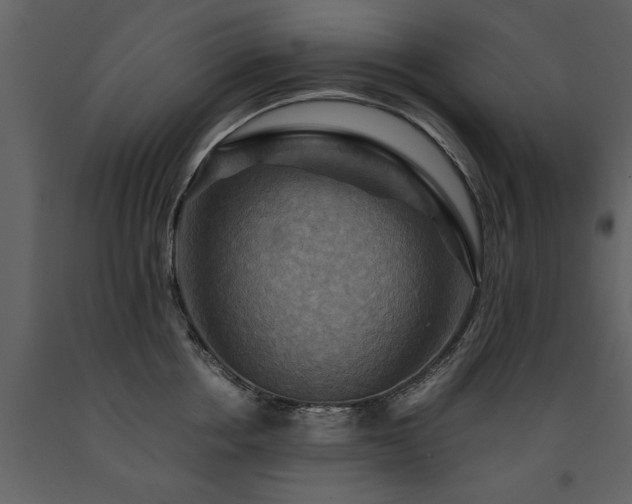 X0000091710858200708241245