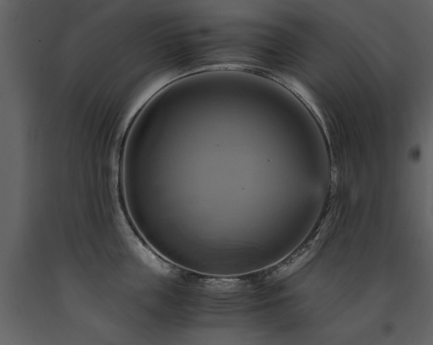 X0000091710859200708241245