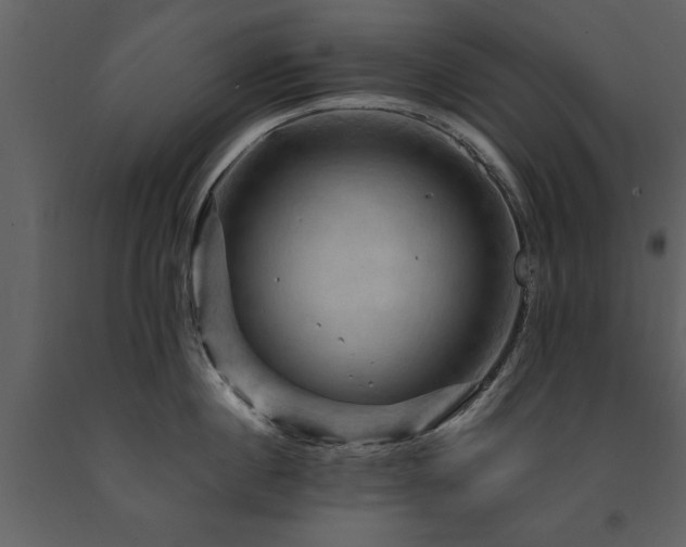 X0000091710860200708241245