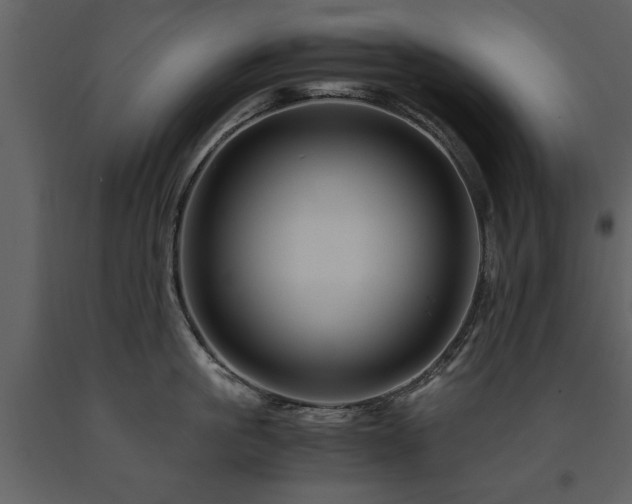 X0000091710861200708241245