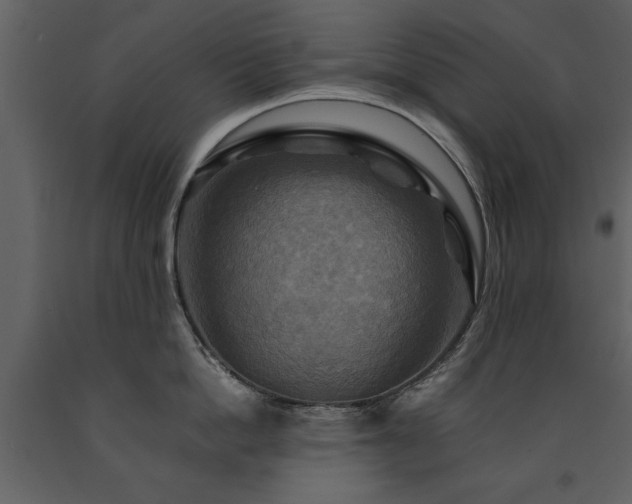 X0000091710862200708241245