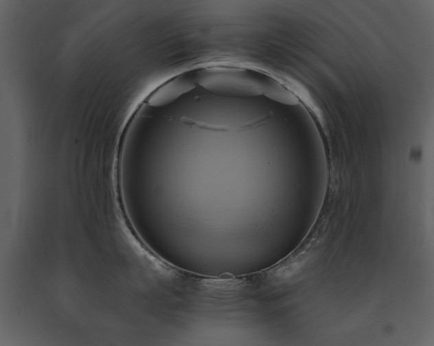X0000091710863200708241245