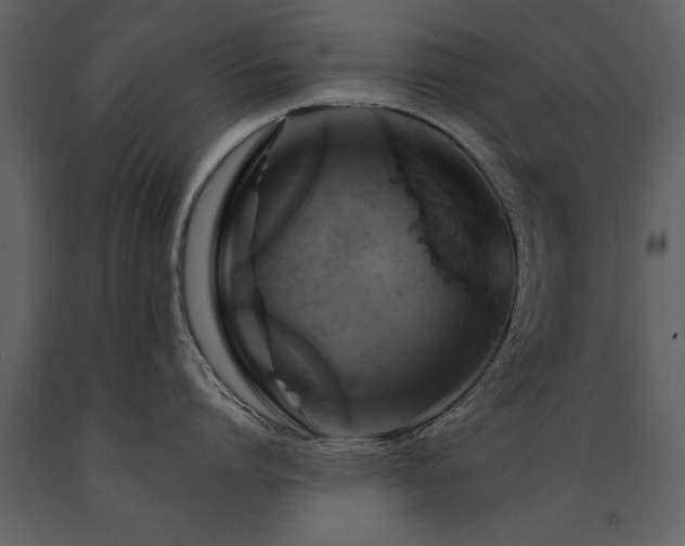 X0000091710864200708241245