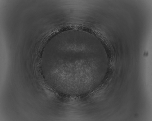 X0000091710865200708241244