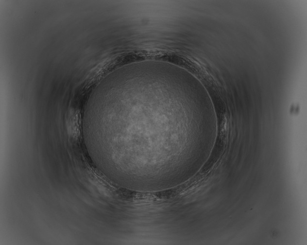 X0000091710866200708241244