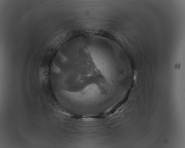 X0000091710867200708241244