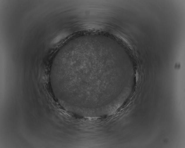 X0000091710869200708241244