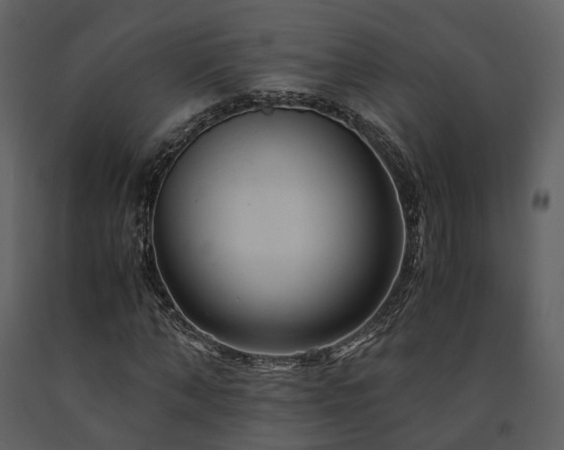 X0000091710870200708241244