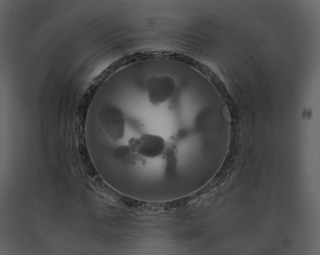 X0000091710871200708241244