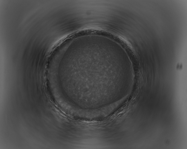 X0000091710872200708241244