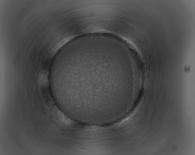 X0000091710873200708241244