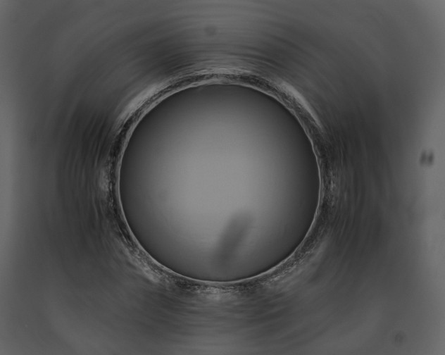 X0000091710874200708241244