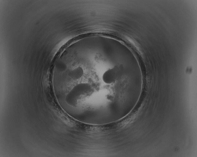 X0000091710875200708241244