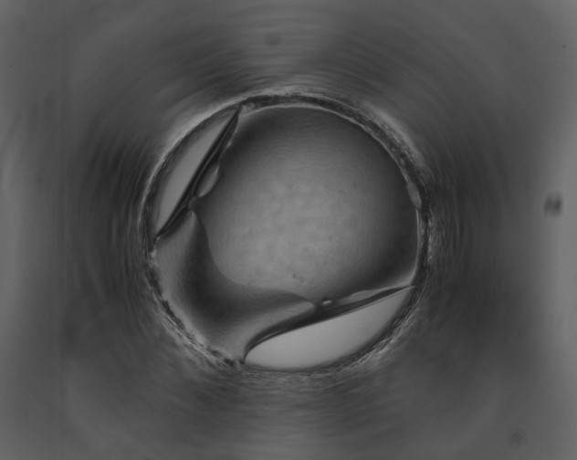 X0000091710876200708241244