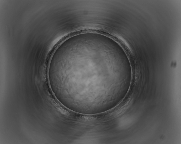 X0000091710878200708241244