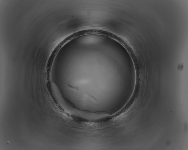 X0000091710879200708241244