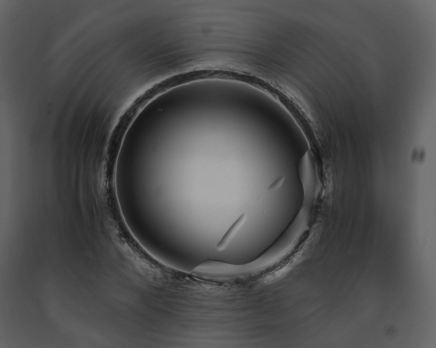 X0000091710880200708241244
