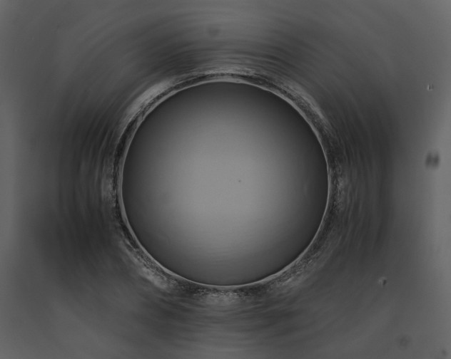 X0000091710882200708241244