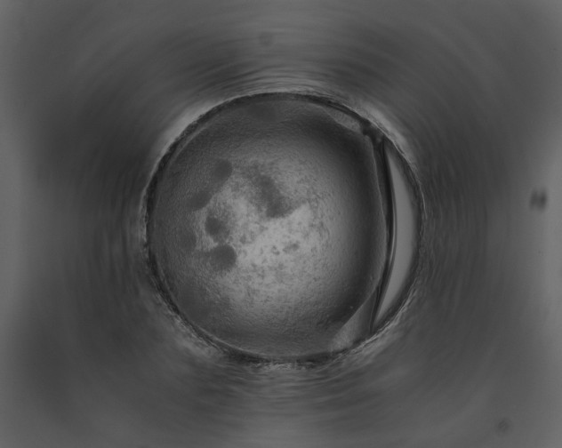 X0000091710883200708241244