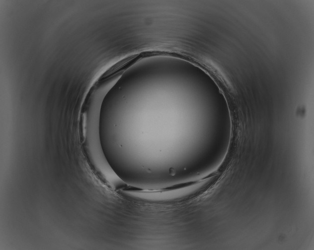 X0000091710884200708241244