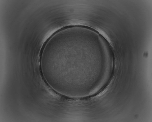 X0000091710885200708241244