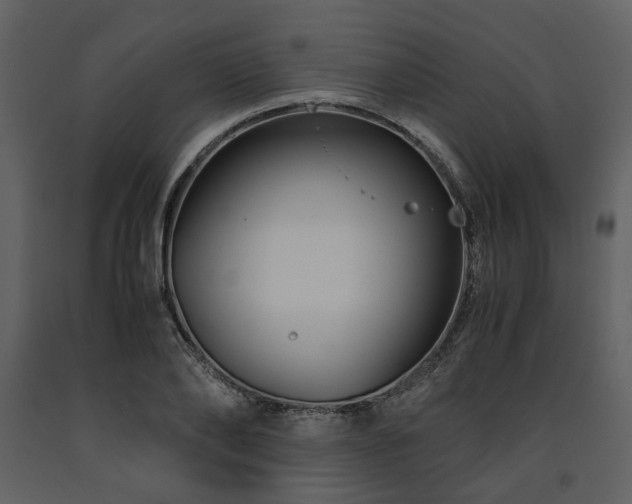 X0000091710886200708241244