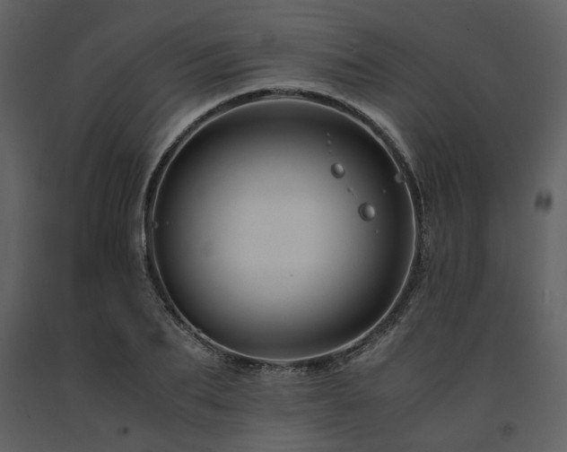 X0000091710887200708241244