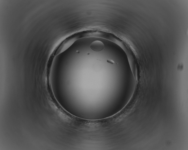X0000091710888200708241244