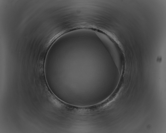 X0000091710889200708241244