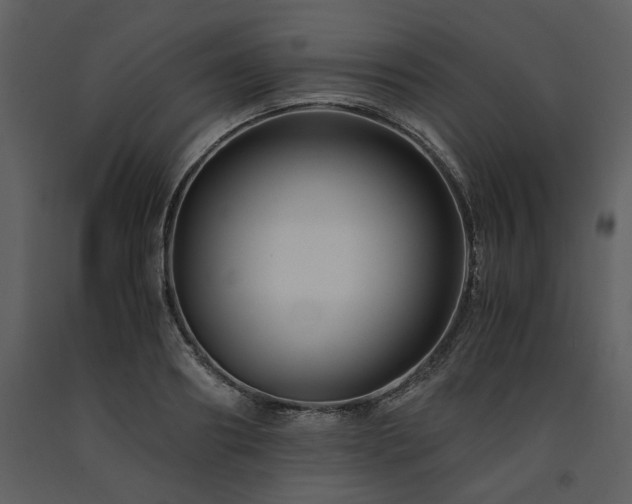 X0000091710890200708241244