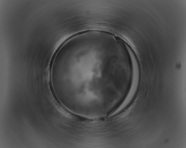 X0000091710891200708241244
