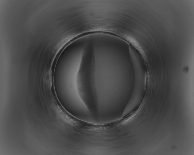 X0000091710892200708241244