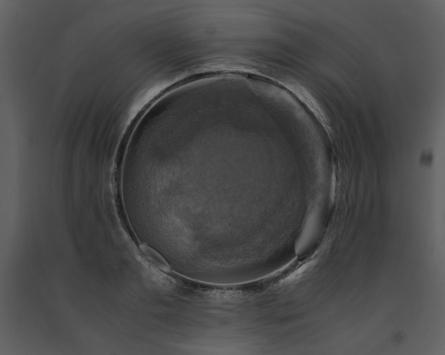 X0000091710893200708241244