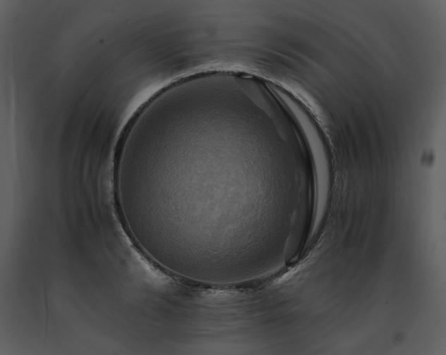 X0000091710894200708241244