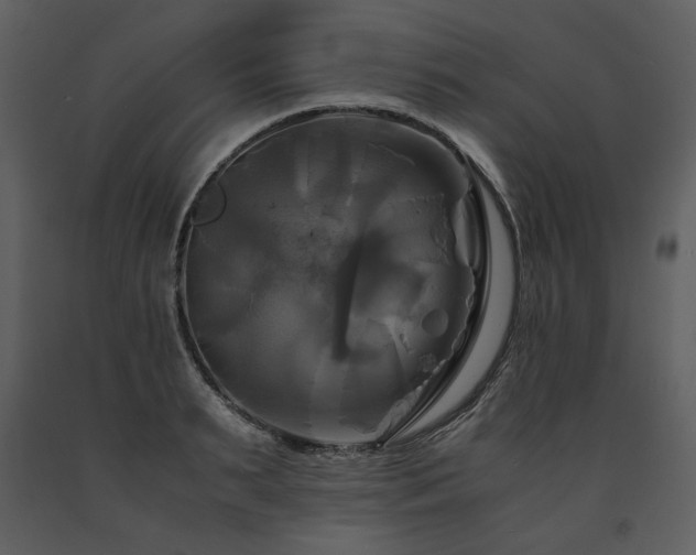 X0000091710895200708241244